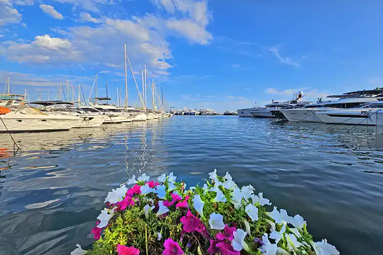 The Camille Rayon marina in Golfe Juan
